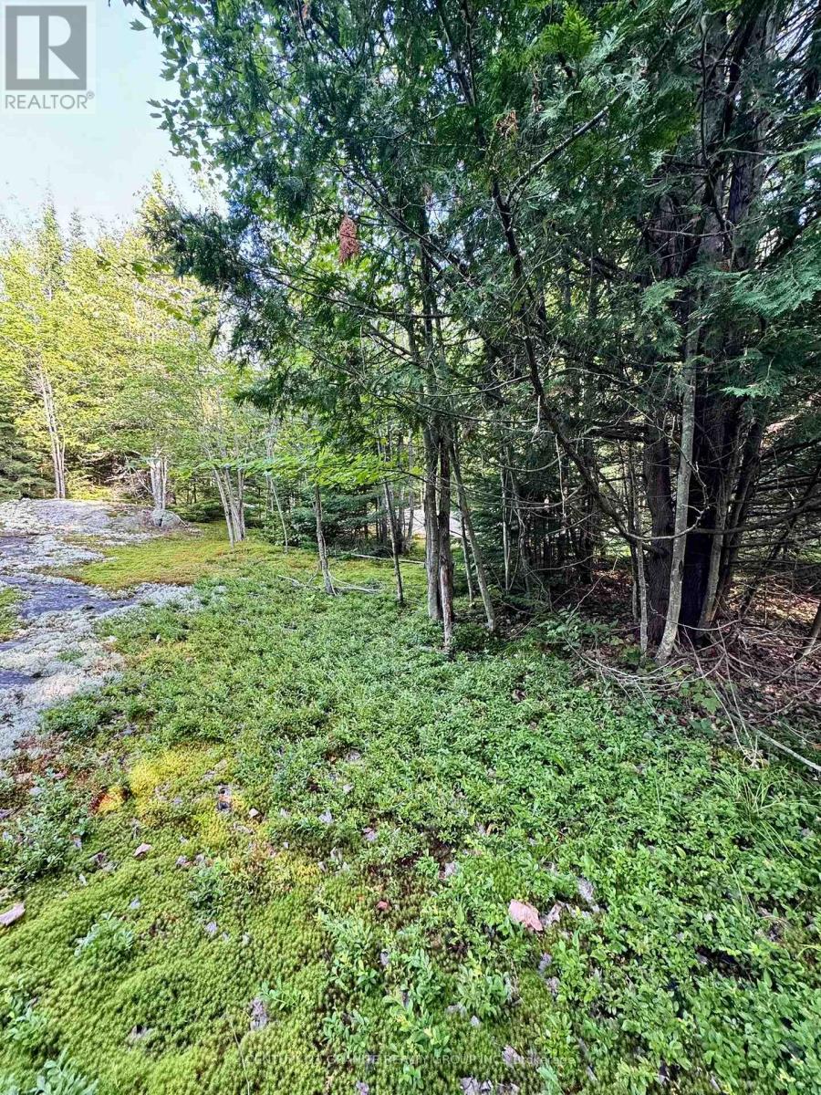 5280 Boulter Road, Carlow/mayo, Ontario  K0L 1G0 - Photo 16 - X12919402