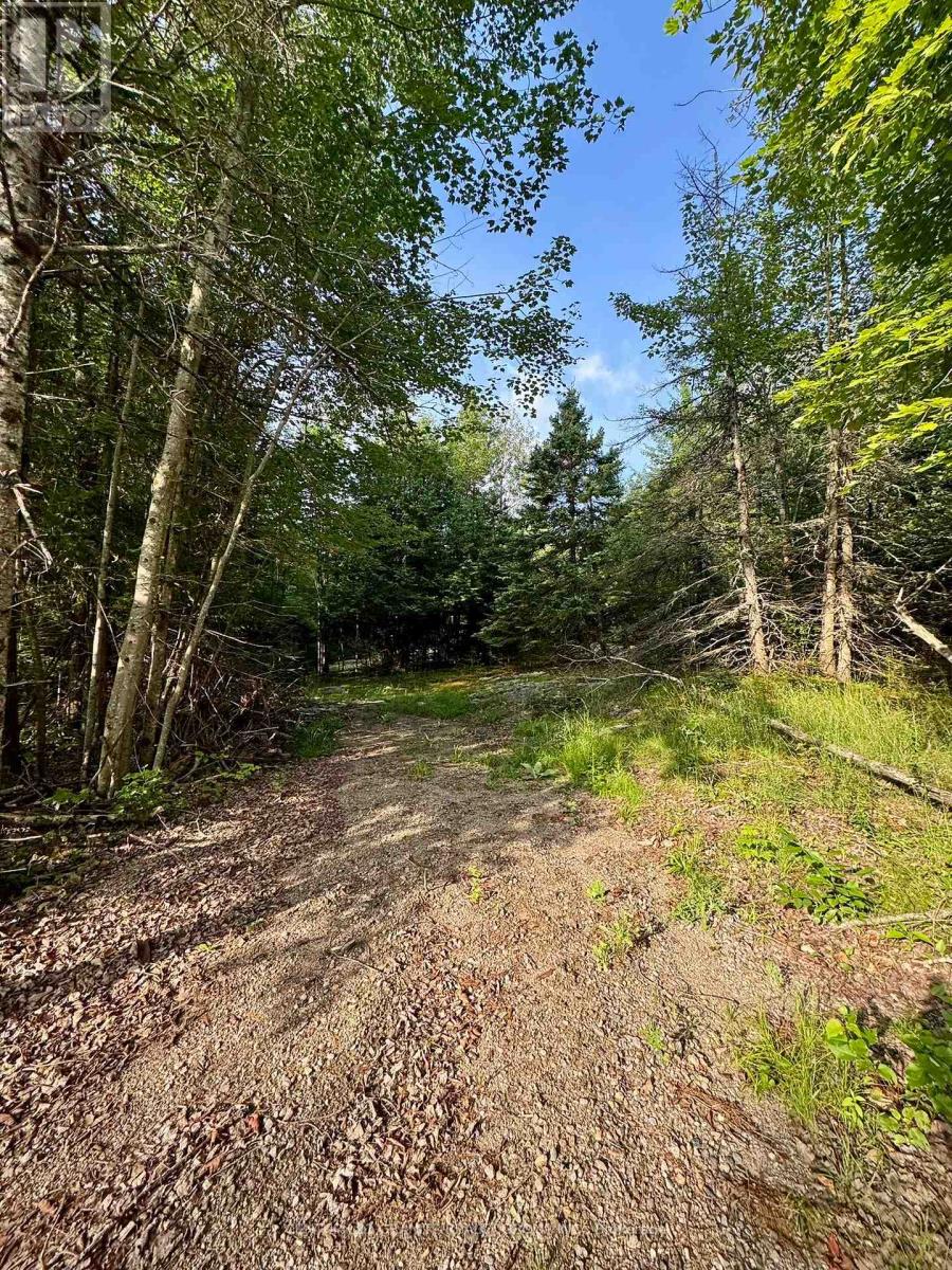 5280 Boulter Road, Carlow/mayo, Ontario  K0L 1G0 - Photo 9 - X12919402