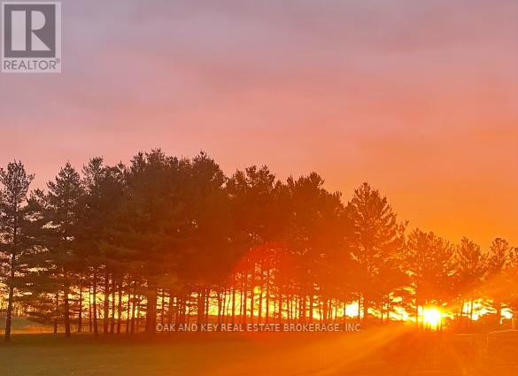 203 - 4838 Switzer Drive, Southwest Middlesex, Ontario  N0L 1A0 - Photo 43 - X12919376