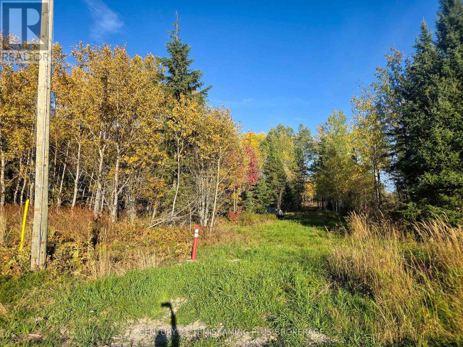 Pcl5224 Little Road, Englehart, Ontario  P0J 1H0 - Photo 12 - T12919510