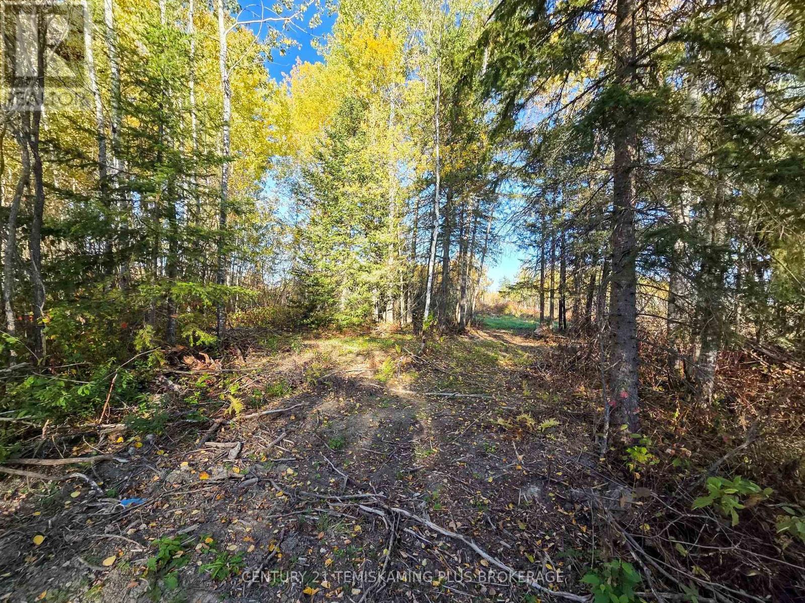 Pcl5224 Little Road, Englehart, Ontario  P0J 1H0 - Photo 15 - T12919510