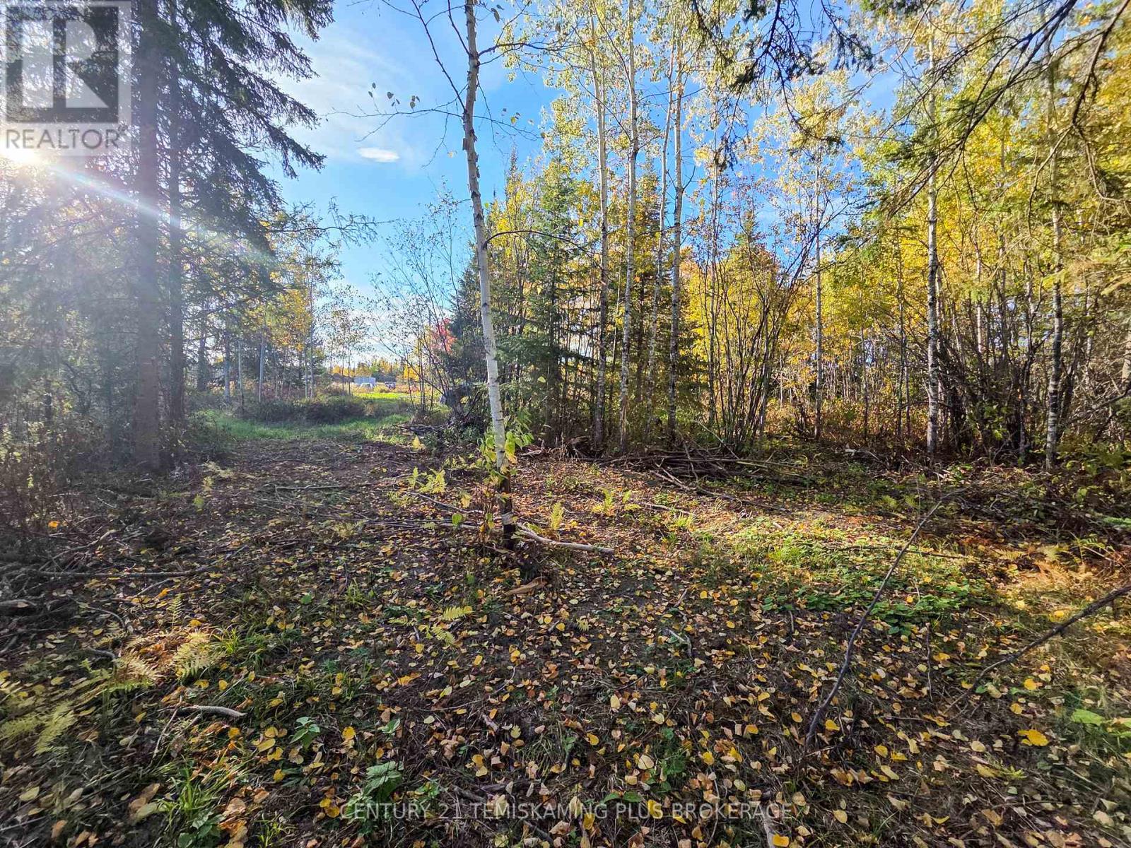 Pcl5224 Little Road, Englehart, Ontario  P0J 1H0 - Photo 16 - T12919510