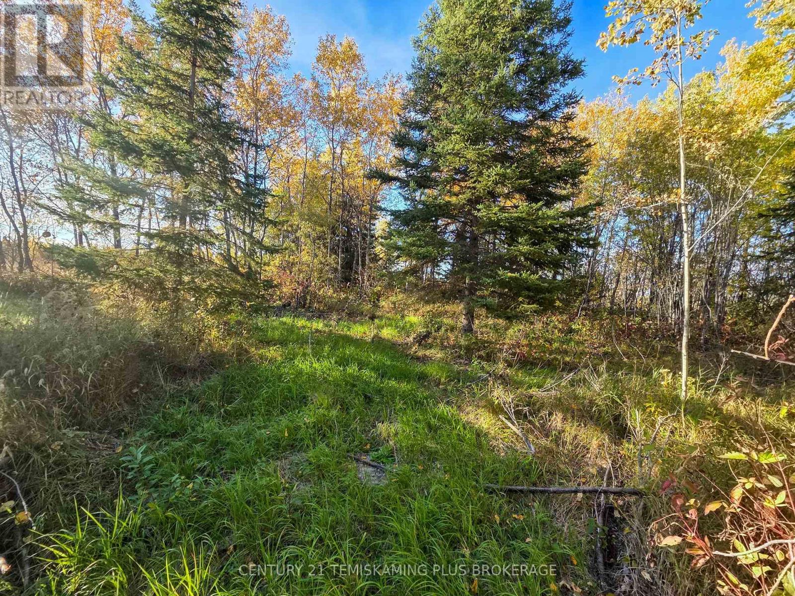 Pcl5224 Little Road, Englehart, Ontario  P0J 1H0 - Photo 18 - T12919510