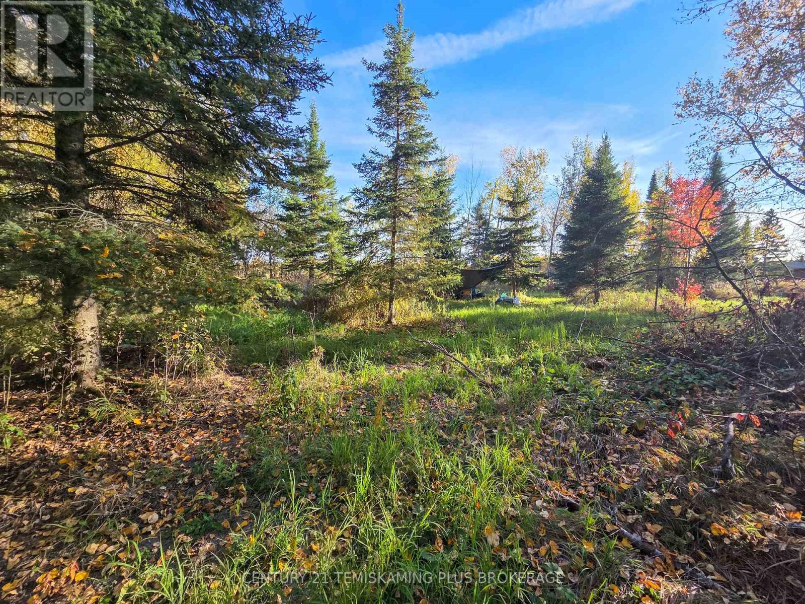 Pcl5224 Little Road, Englehart, Ontario  P0J 1H0 - Photo 19 - T12919510