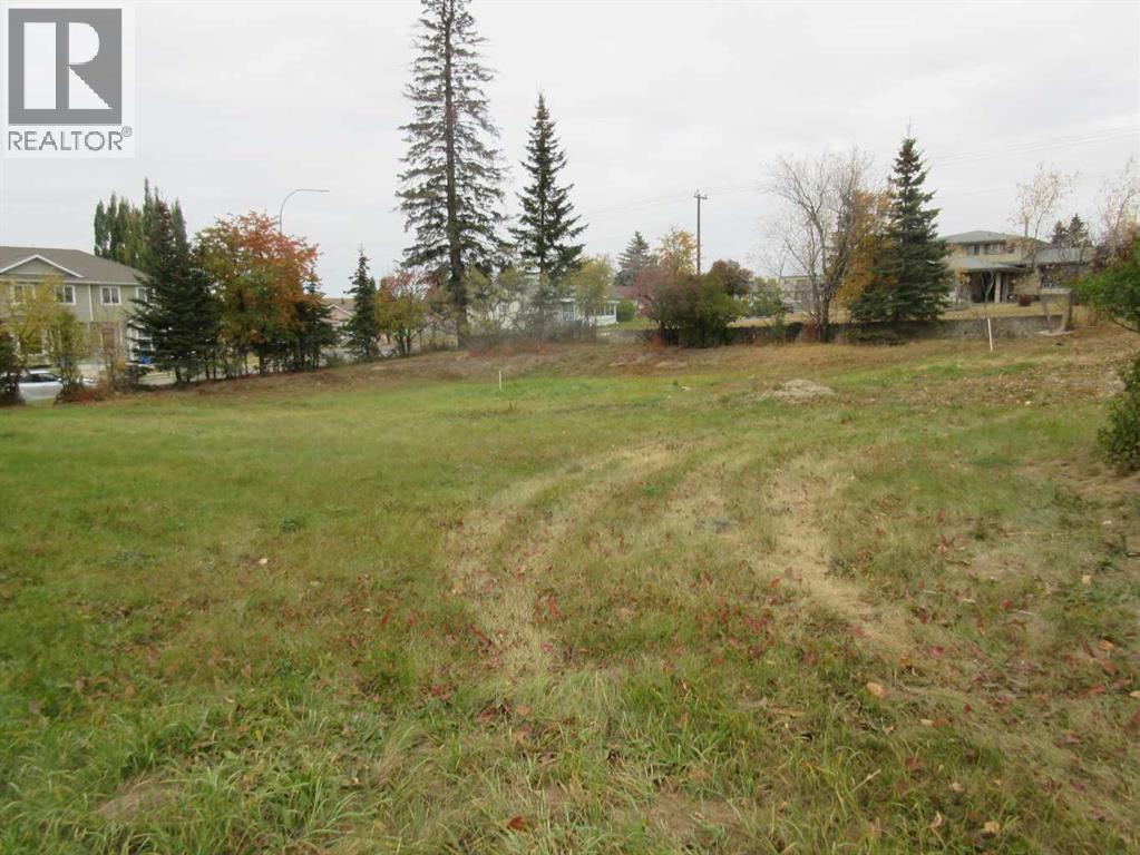 5137 52 Street, Rocky Mountain House, Alberta  T4T 1E3 - Photo 6 - A2262783