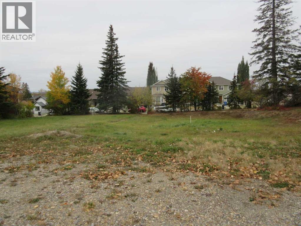 5137 52 Street, Rocky Mountain House, Alberta  T4T 1E3 - Photo 9 - A2262783