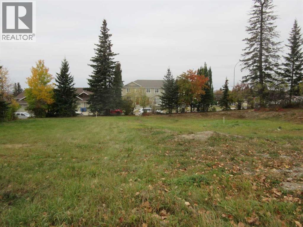 5137 52 Street, Rocky Mountain House, Alberta  T4T 1E3 - Photo 8 - A2262783