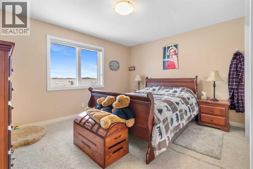 1231 21 Street, Bowden, Alberta  T0M 2A0 - Photo 15 - A2278176