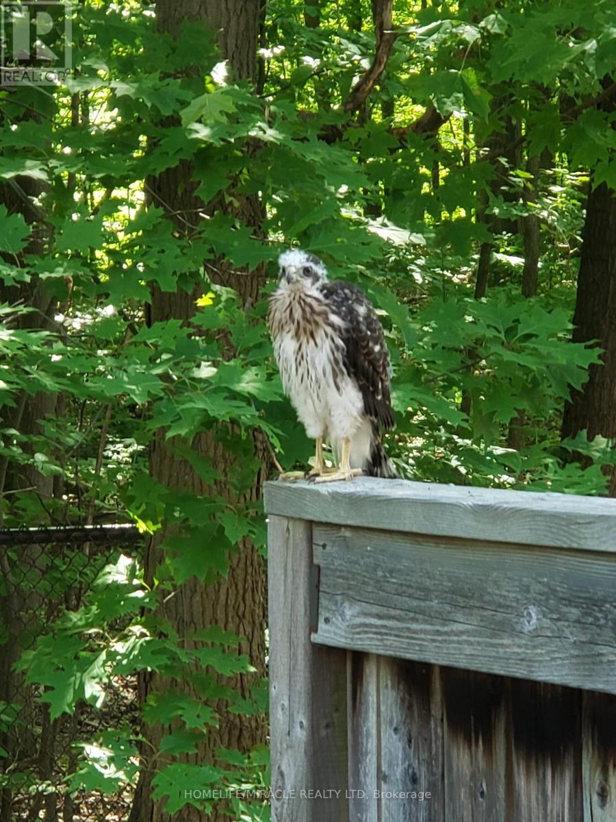 #28 - 5530 Glen Erin Drive, Mississauga, Ontario  L5M 6E8 - Photo 21 - W12919462