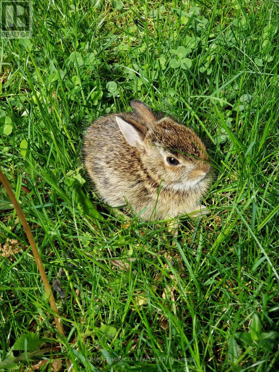 #28 - 5530 Glen Erin Drive, Mississauga, Ontario  L5M 6E8 - Photo 22 - W12919462