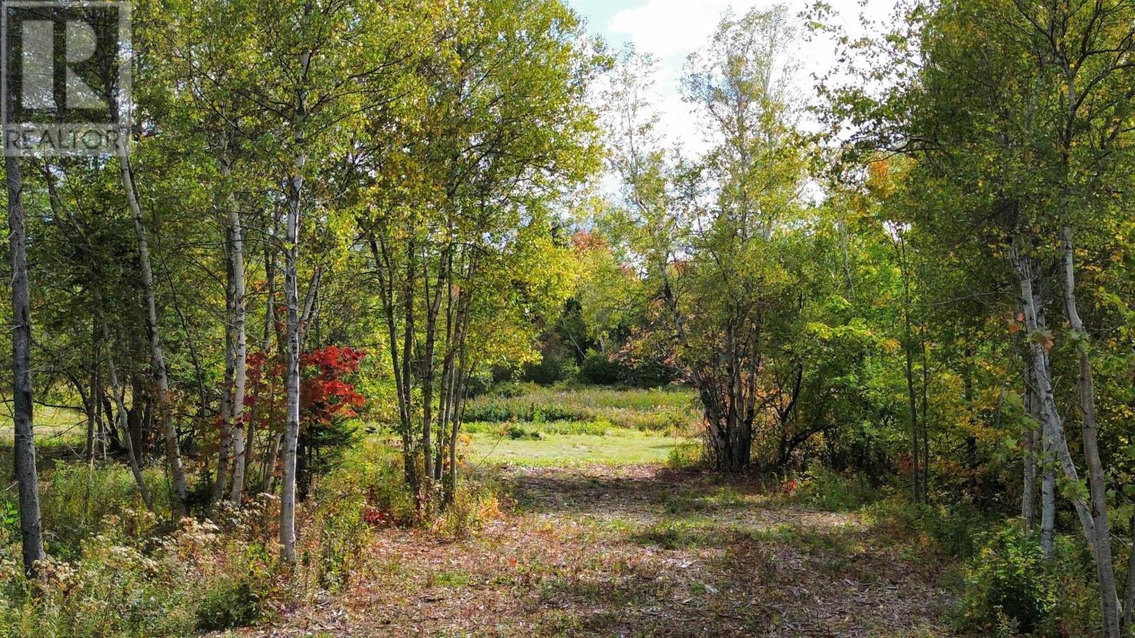 2-25 Hwy#6 Highway, Pugwash, Nova Scotia  B0K 1L0 - Photo 12 - 202524912