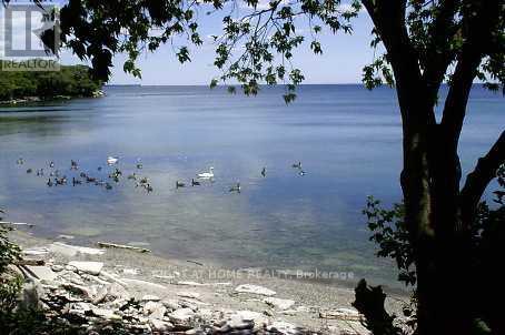 2680 Lake Shore Boulevard W, Toronto, Ontario  M8V 1G8 - Photo 3 - W12596462