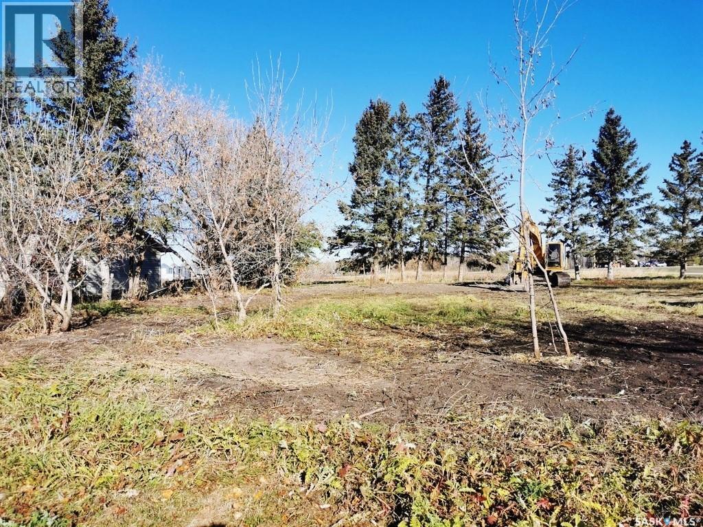 Currie Lots, Hudson Bay Rm No. 394, Saskatchewan  S0E 0Y0 - Photo 3 - SK031090