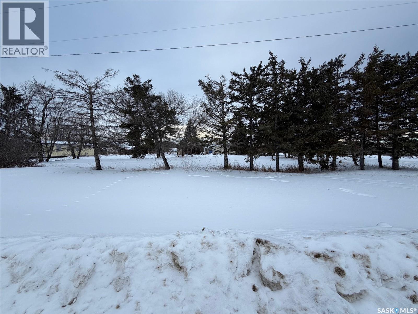 Currie Lots, Hudson Bay Rm No. 394, Saskatchewan  S0E 0Y0 - Photo 5 - SK031090