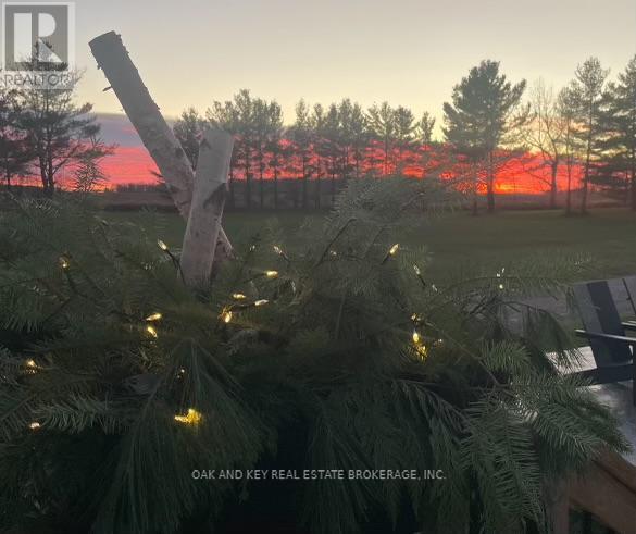 203 - 4838 Switzer Drive, Southwest Middlesex, Ontario N0L 1A0 - Photo 39 - X12919376