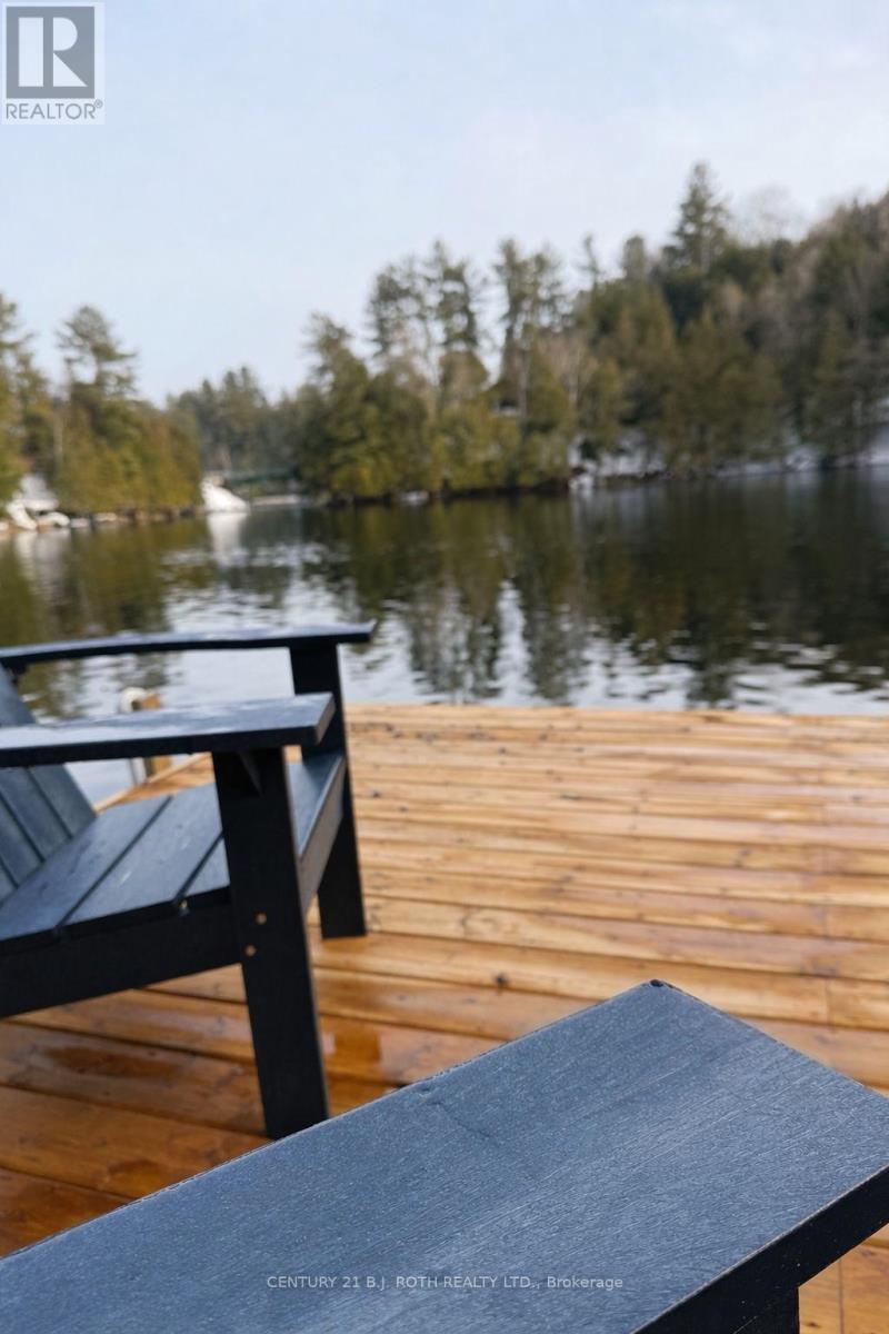 1042 Inukshuk Trail, Minden Hills, Ontario  K0M 2K0 - Photo 20 - X12919586