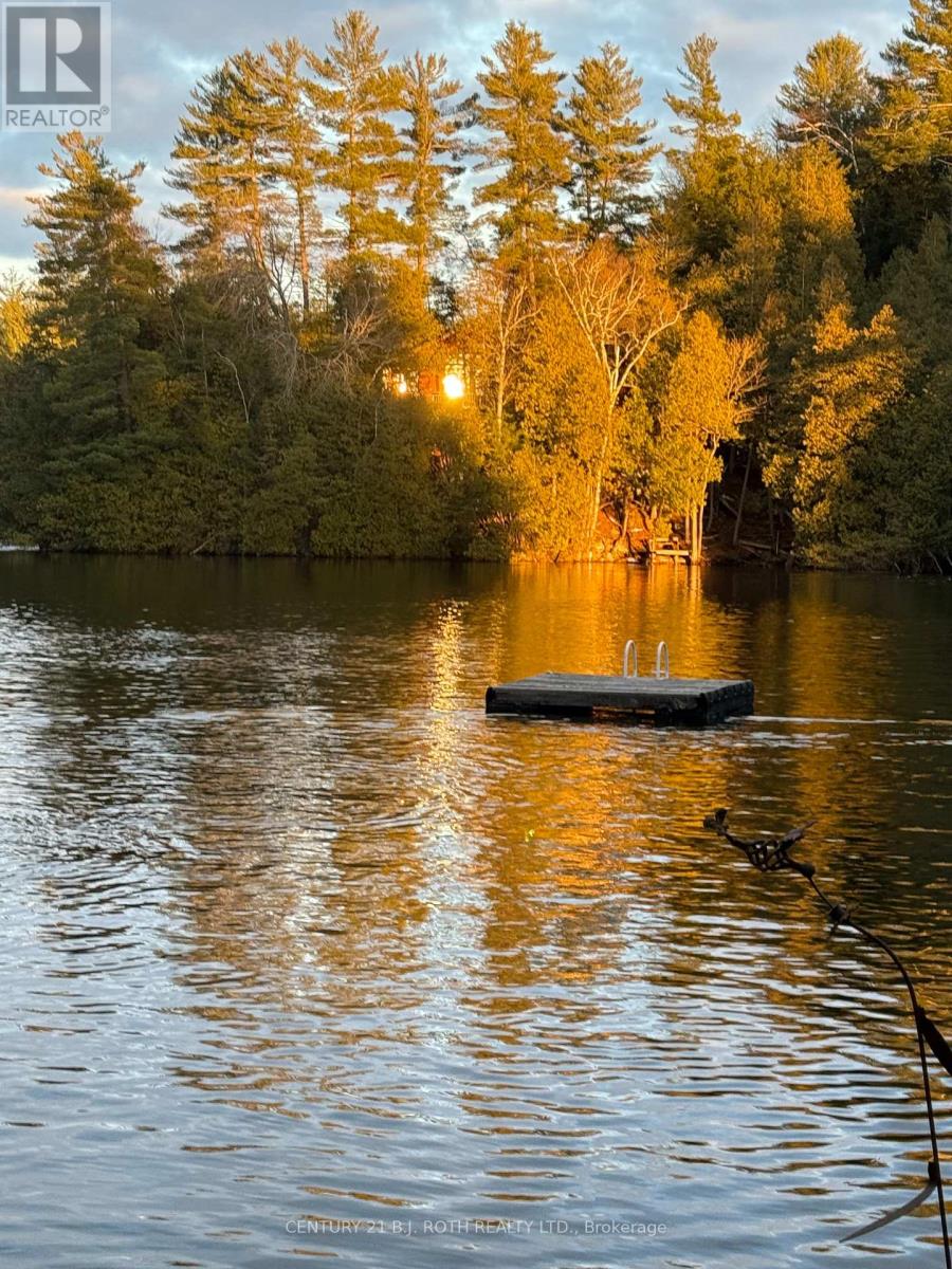 1042 Inukshuk Trail, Minden Hills, Ontario  K0M 2K0 - Photo 23 - X12919586