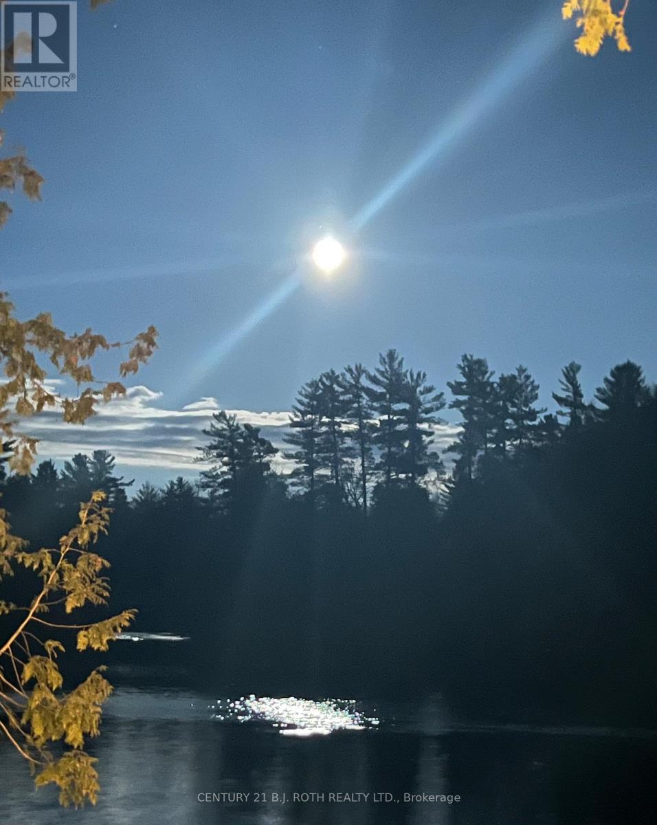 1042 Inukshuk Trail, Minden Hills, Ontario  K0M 2K0 - Photo 27 - X12919586