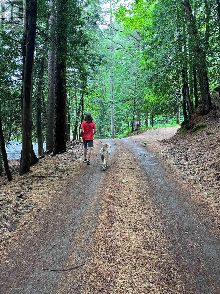 1042 Inukshuk Trail, Minden Hills, Ontario  K0M 2K0 - Photo 28 - X12919586