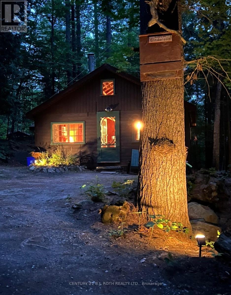 1042 Inukshuk Trail, Minden Hills, Ontario  K0M 2K0 - Photo 3 - X12919586