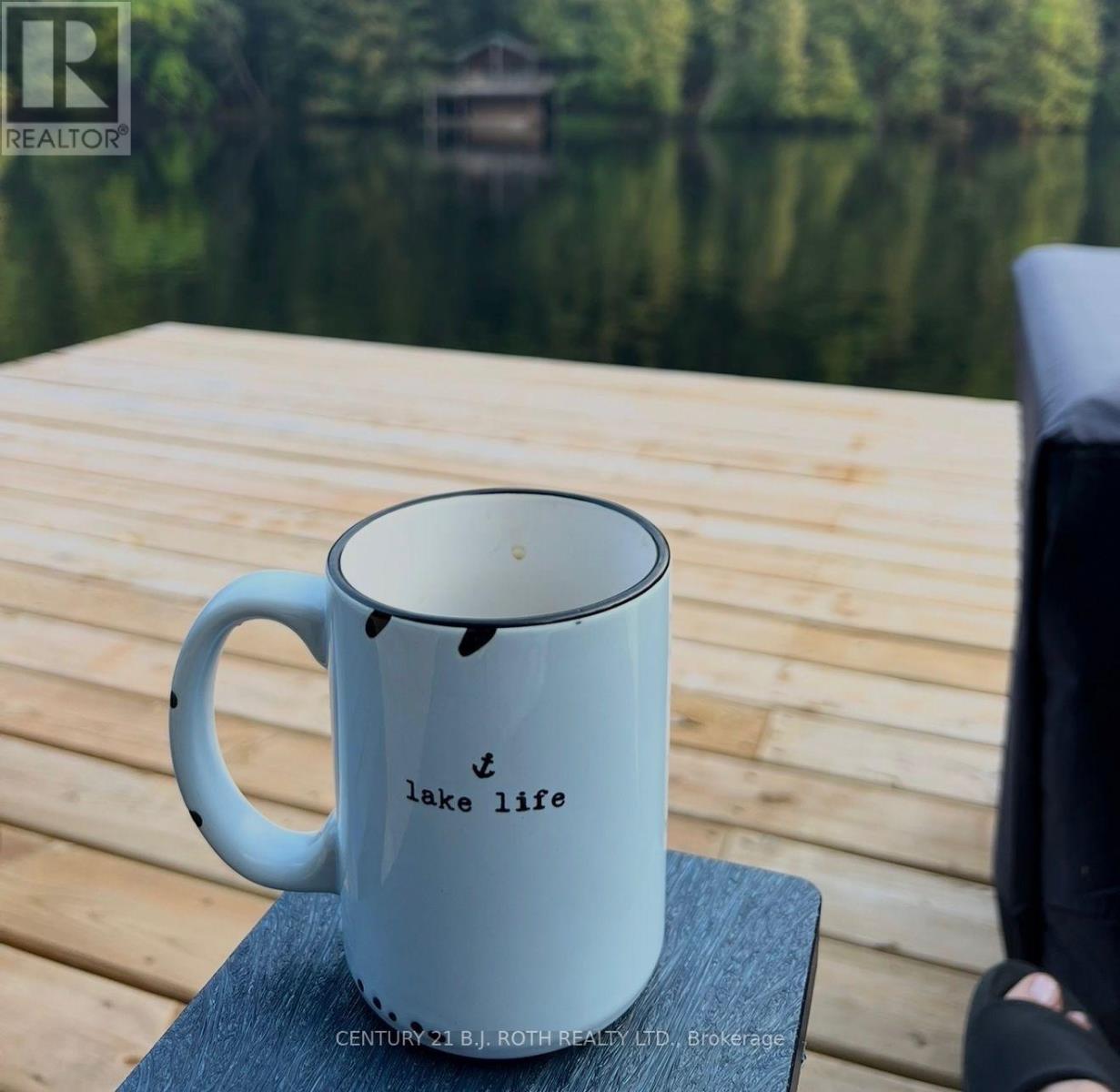 1042 Inukshuk Trail, Minden Hills, Ontario  K0M 2K0 - Photo 34 - X12919586