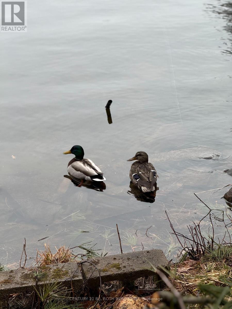 1042 Inukshuk Trail, Minden Hills, Ontario  K0M 2K0 - Photo 35 - X12919586