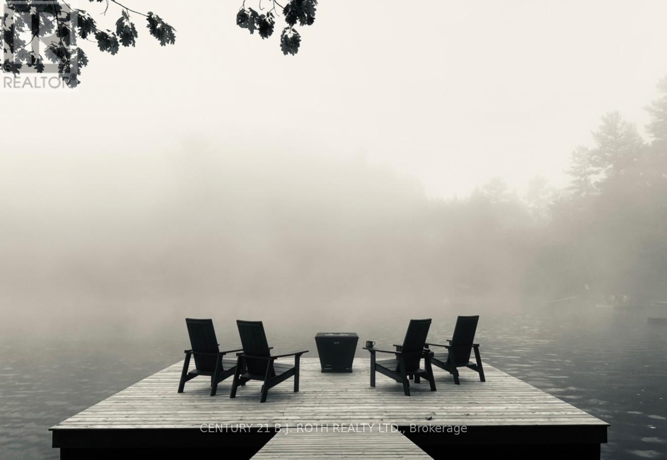 1042 Inukshuk Trail, Minden Hills, Ontario  K0M 2K0 - Photo 6 - X12919586