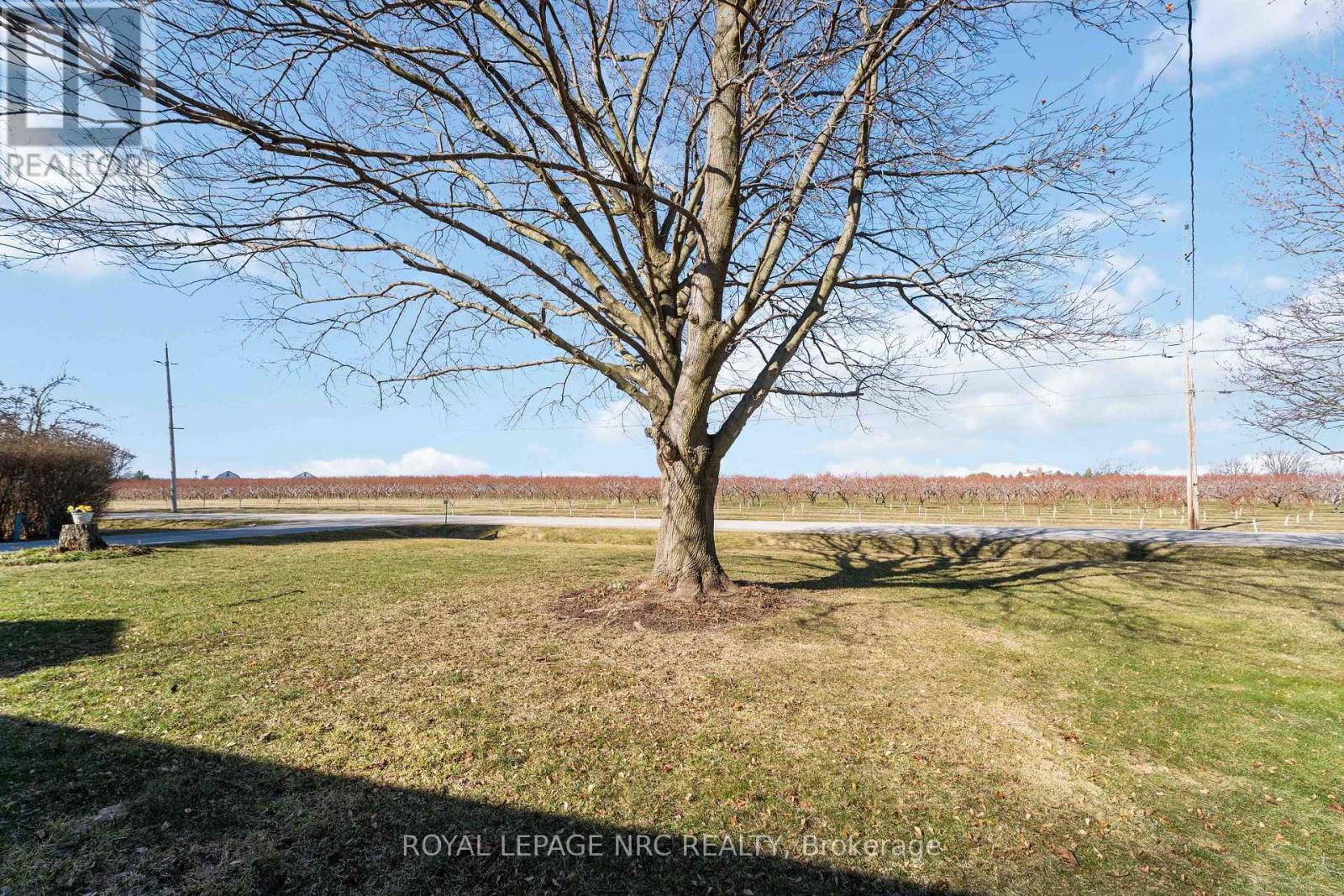 4271 13th Street, Lincoln, Ontario  L0R 1S0 - Photo 4 - X12789640