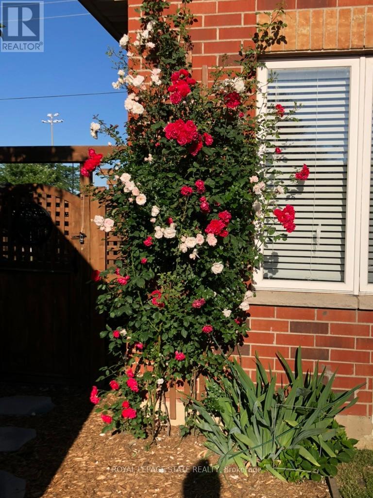 82 Vansickle Road, St. Catharines, Ontario  L2S 3Y6 - Photo 44 - X12906462