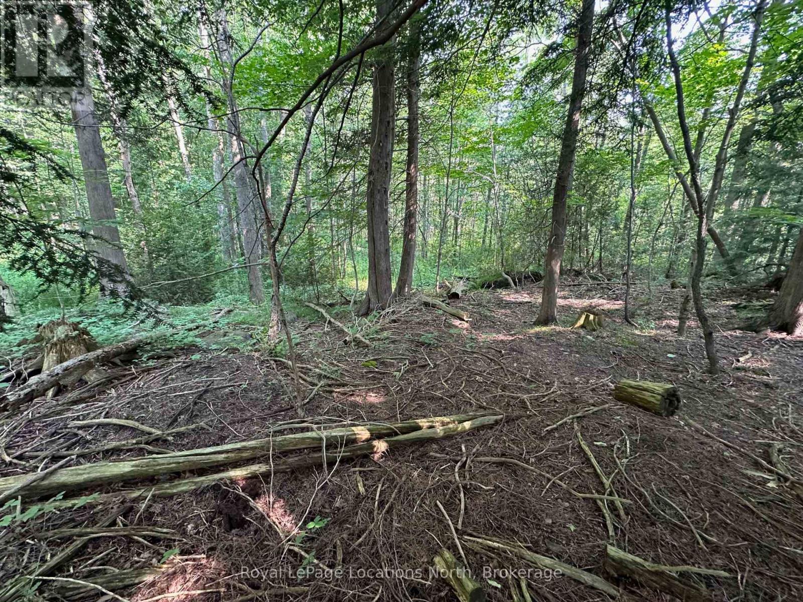 Lot 5 26 Highway, Meaford, Ontario  N4K 5W4 - Photo 10 - X12919902