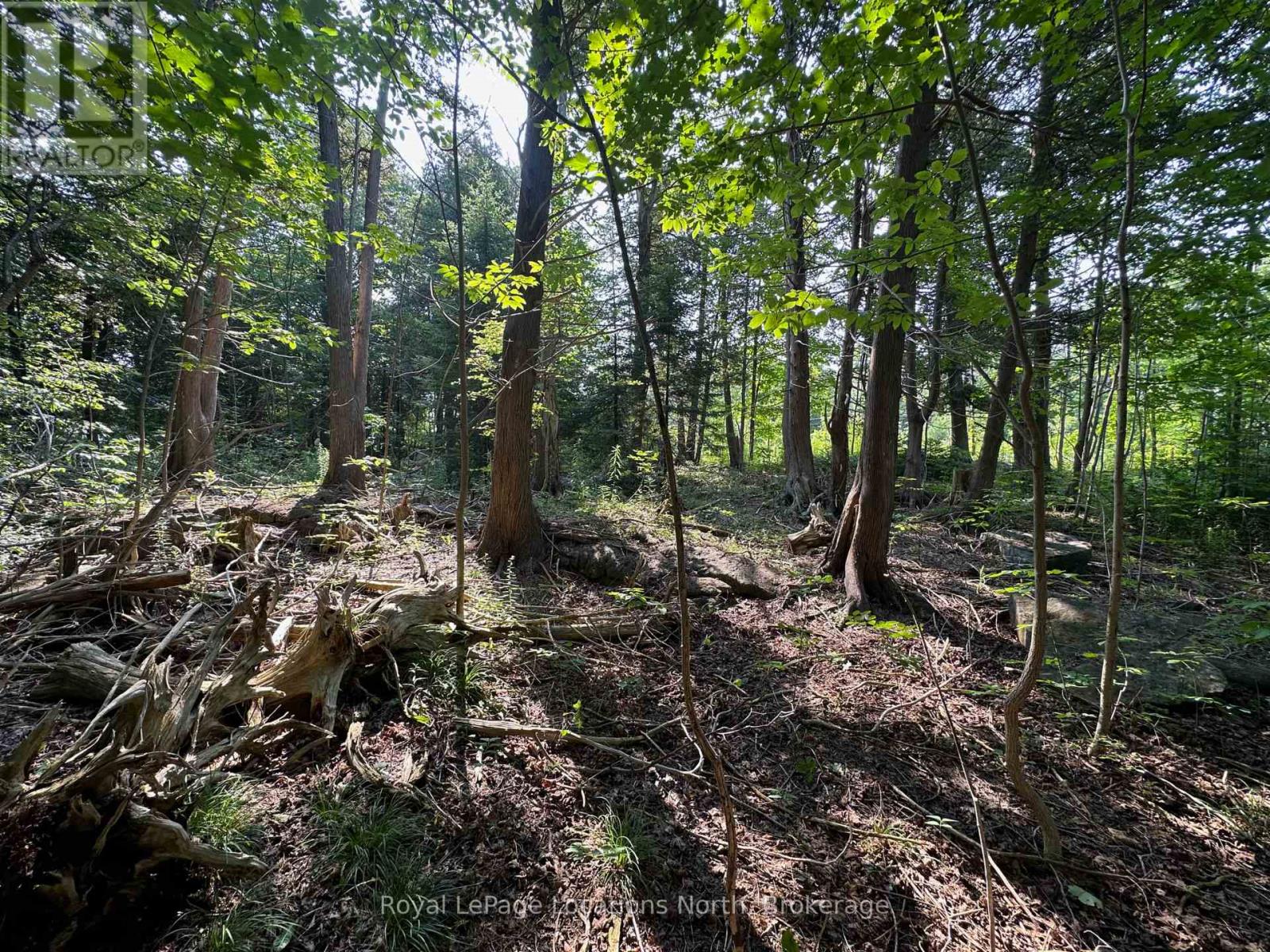 Lot 5 26 Highway, Meaford, Ontario  N4K 5W4 - Photo 11 - X12919902