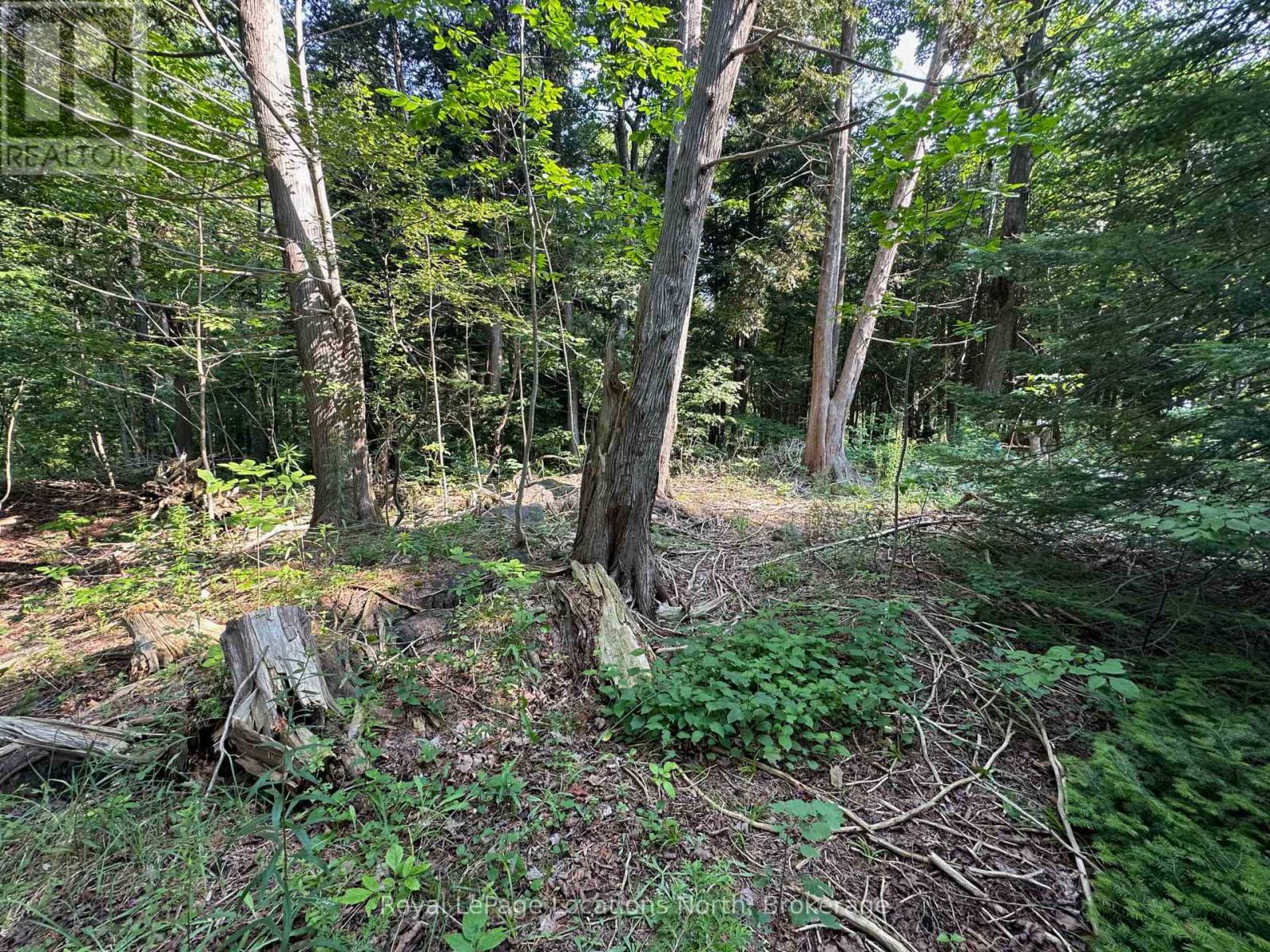 Lot 5 26 Highway, Meaford, Ontario  N4K 5W4 - Photo 13 - X12919902