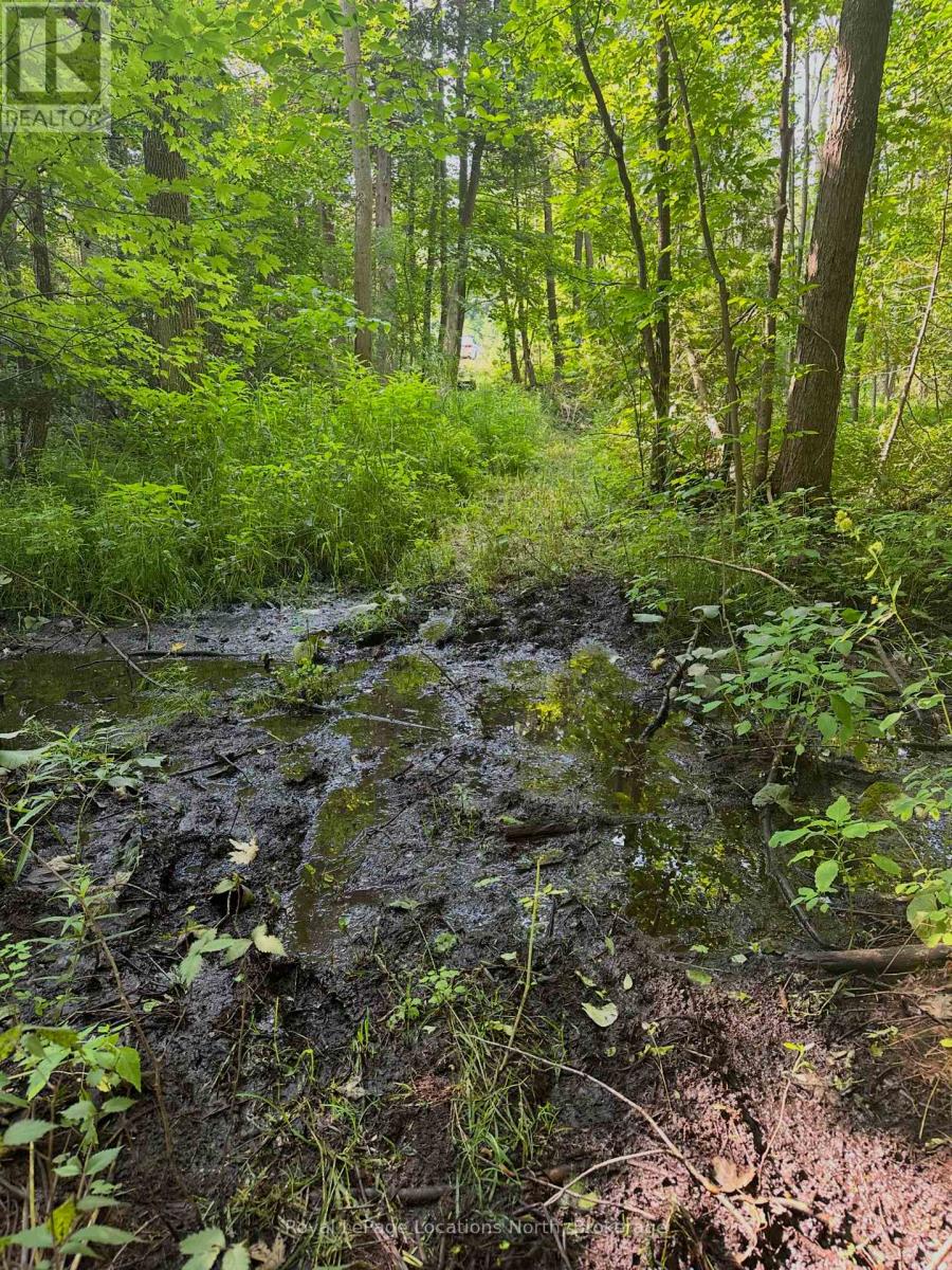 Lot 5 26 Highway, Meaford, Ontario  N4K 5W4 - Photo 14 - X12919902