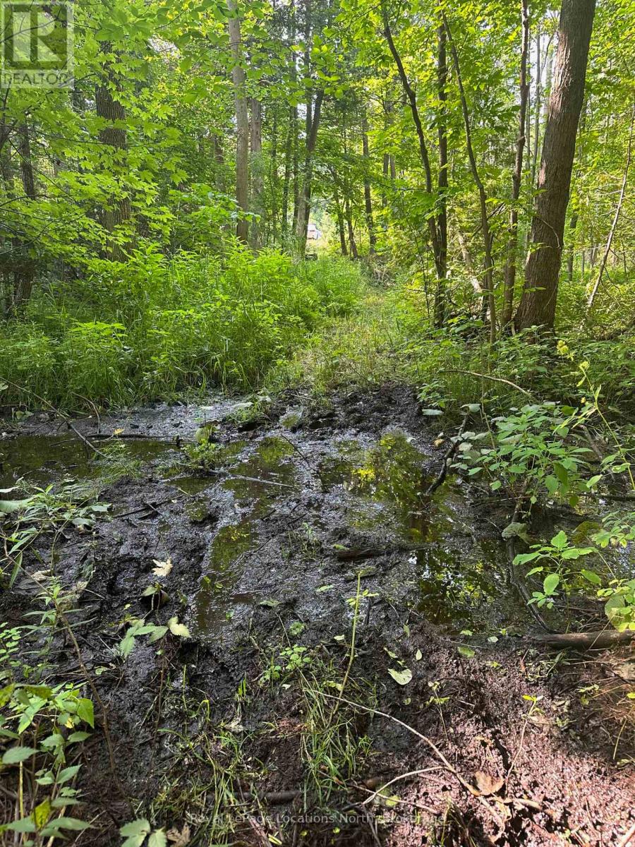 Lot 5 26 Highway, Meaford, Ontario  N4K 5W4 - Photo 15 - X12919902