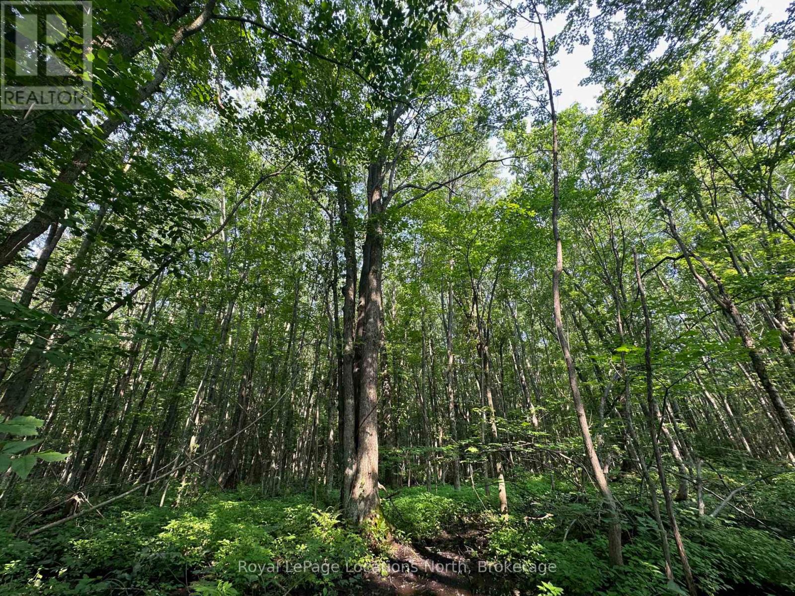 Lot 5 26 Highway, Meaford, Ontario  N4K 5W4 - Photo 16 - X12919902