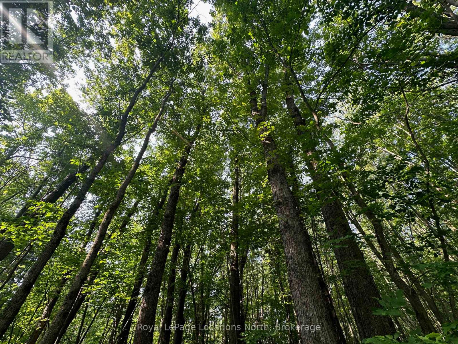 Lot 5 26 Highway, Meaford, Ontario  N4K 5W4 - Photo 17 - X12919902