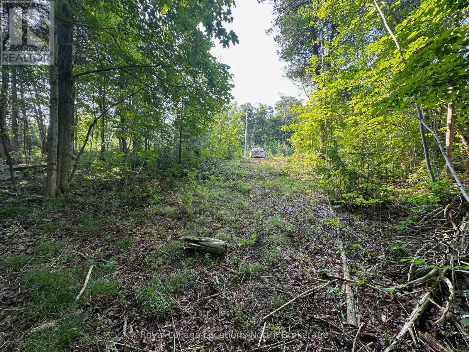 Lot 5 26 Highway, Meaford, Ontario  N4K 5W4 - Photo 7 - X12919902