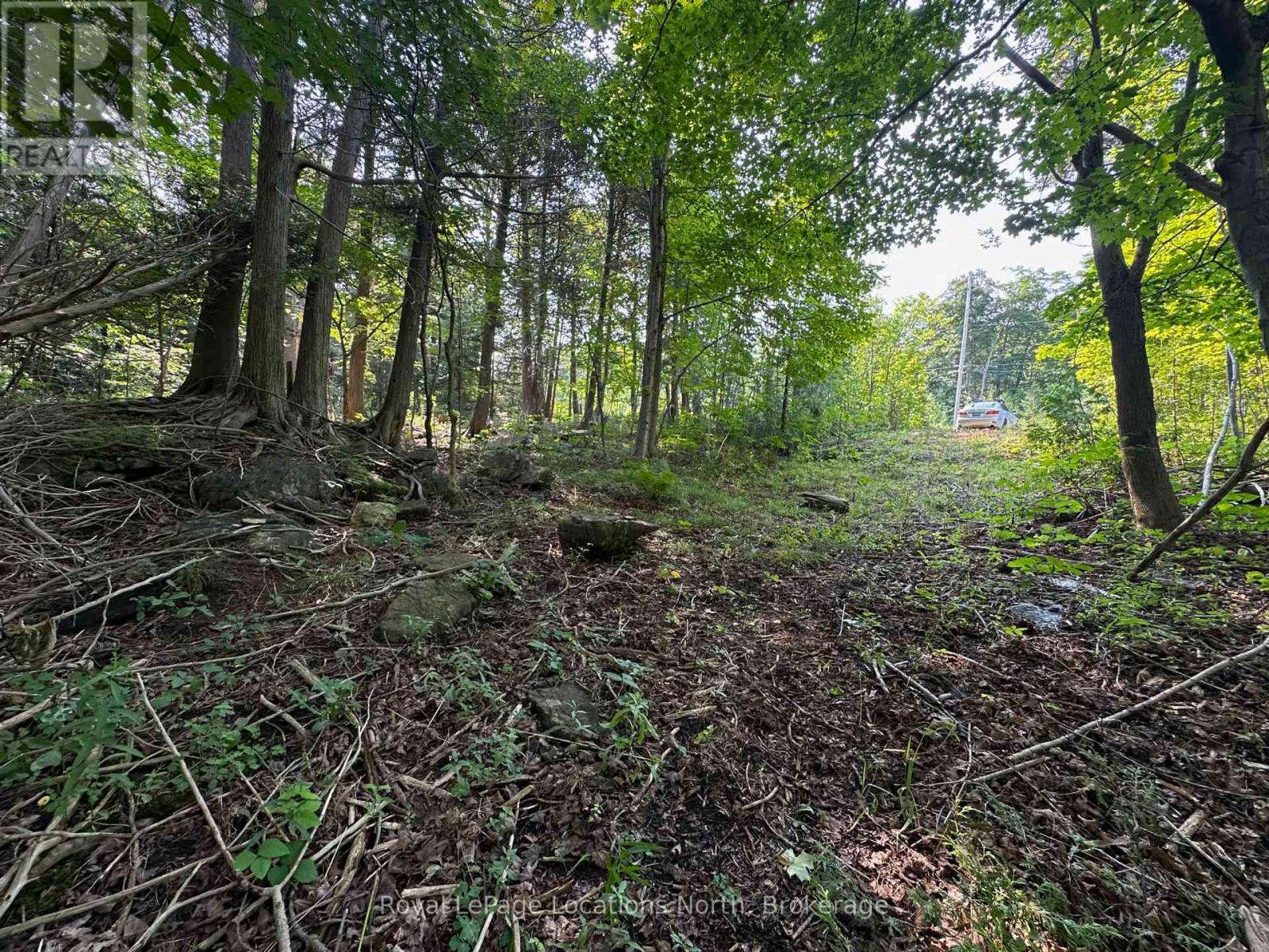 Lot 5 26 Highway, Meaford, Ontario  N4K 5W4 - Photo 8 - X12919902