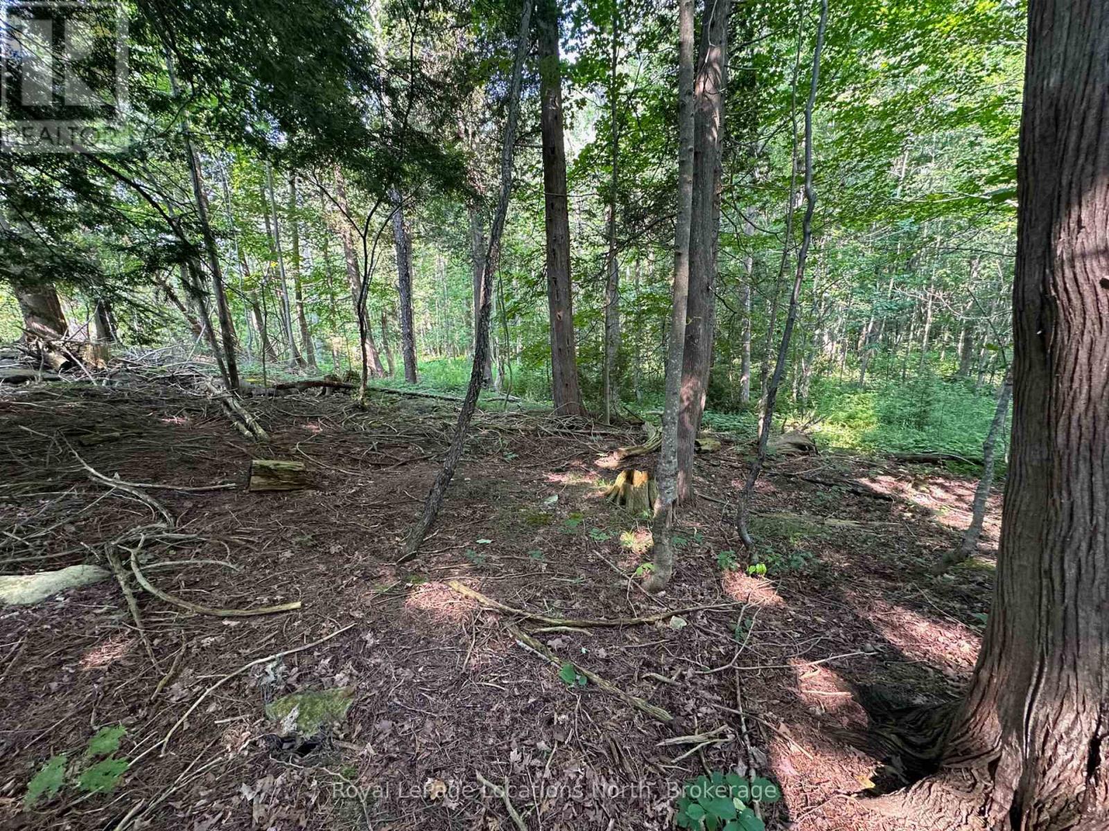 Lot 5 26 Highway, Meaford, Ontario  N4K 5W4 - Photo 9 - X12919902