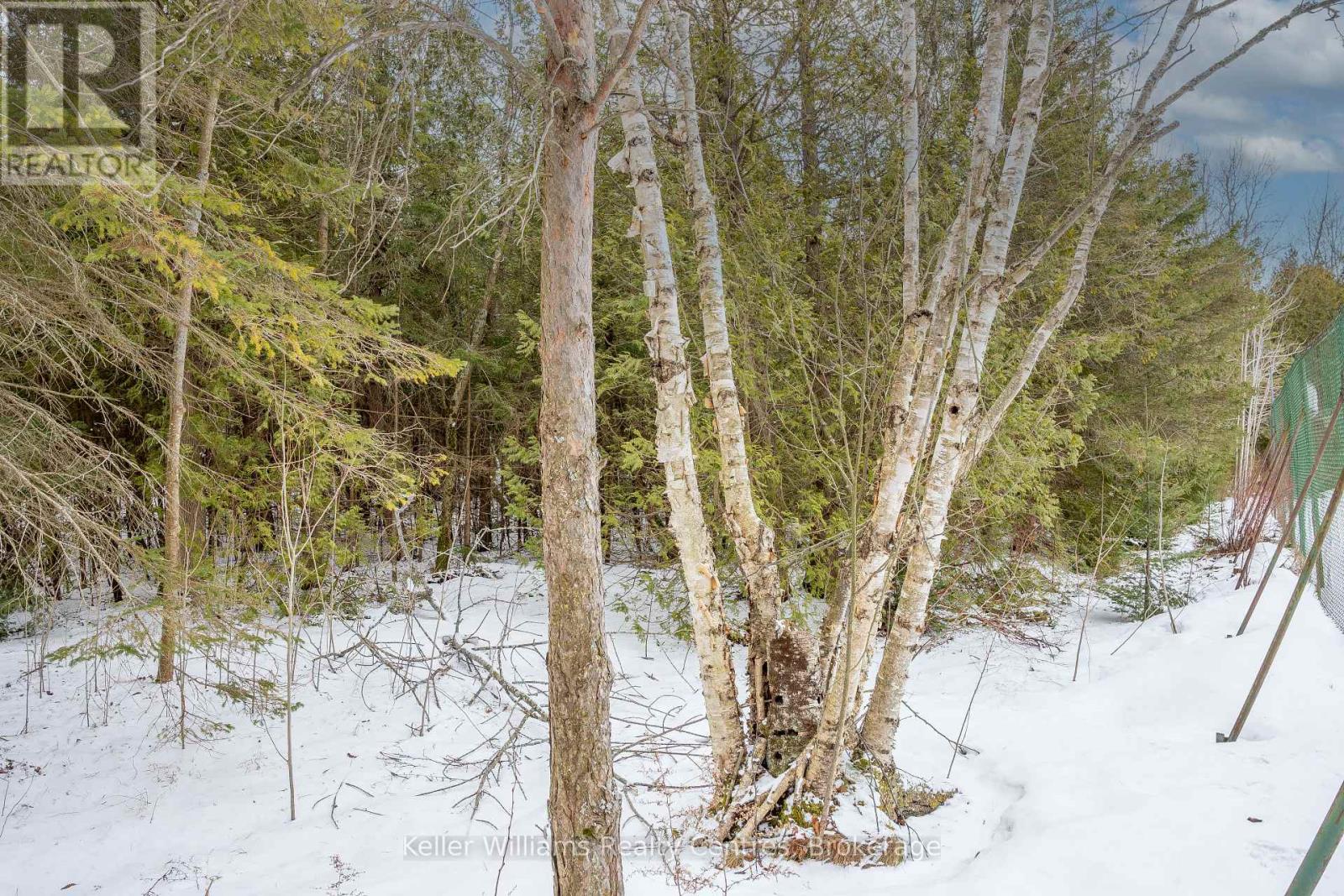 74 Lonely Island Drive, South Bruce Peninsula, Ontario  N0H 2T0 - Photo 11 - X12919974
