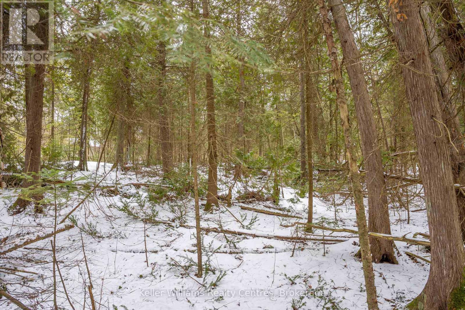 74 Lonely Island Drive, South Bruce Peninsula, Ontario  N0H 2T0 - Photo 16 - X12919974