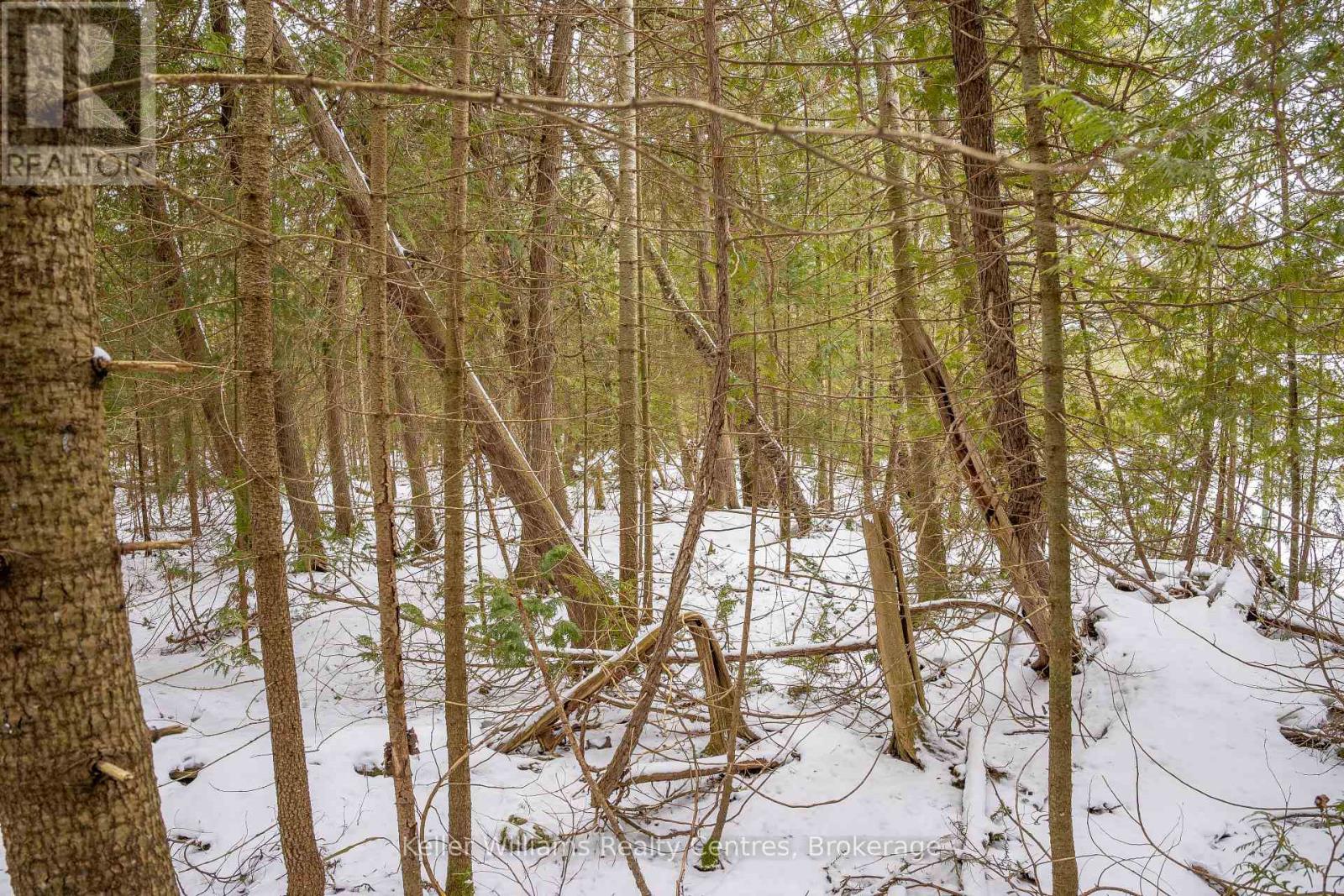 74 Lonely Island Drive, South Bruce Peninsula, Ontario  N0H 2T0 - Photo 20 - X12919974