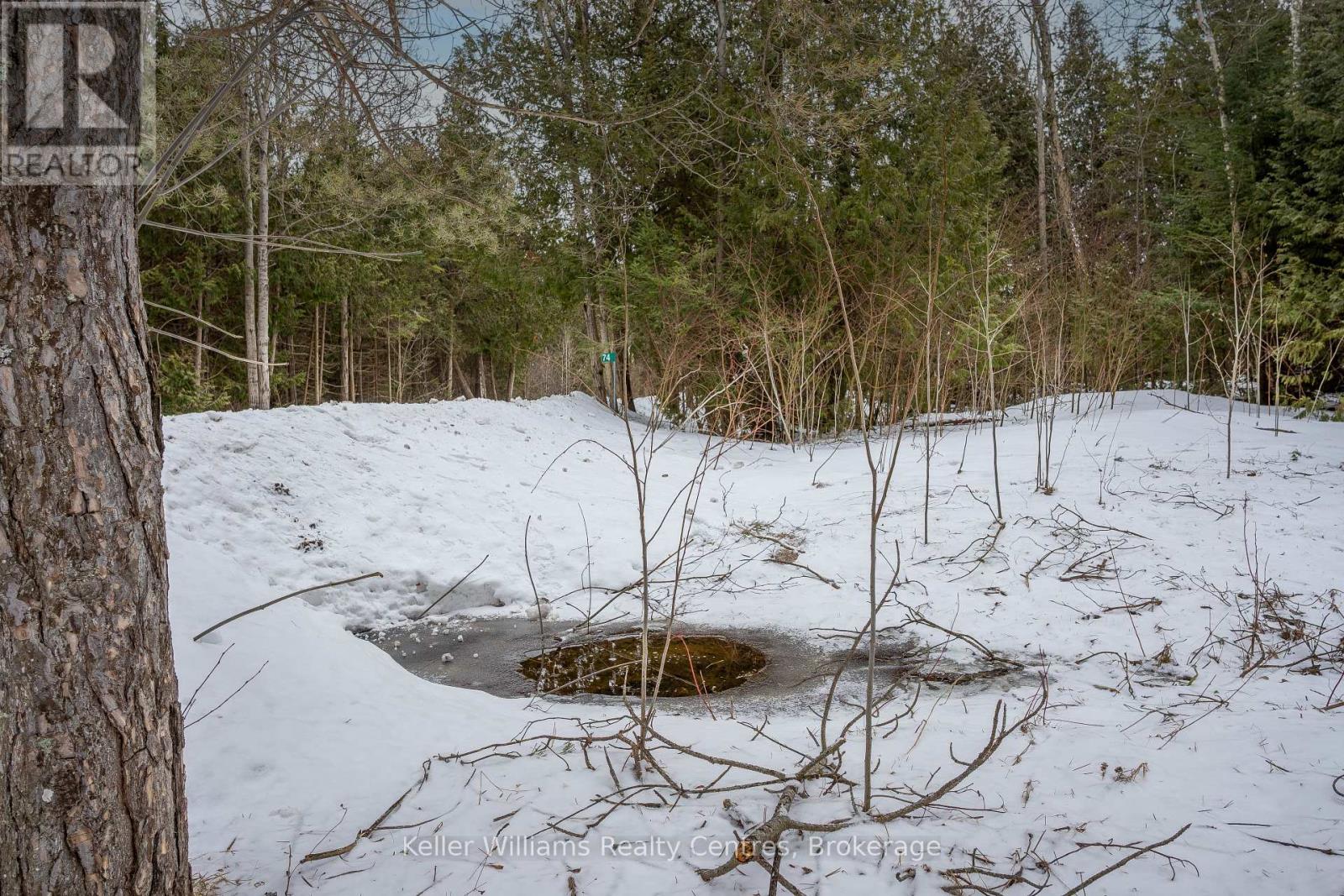 74 Lonely Island Drive, South Bruce Peninsula, Ontario  N0H 2T0 - Photo 23 - X12919974