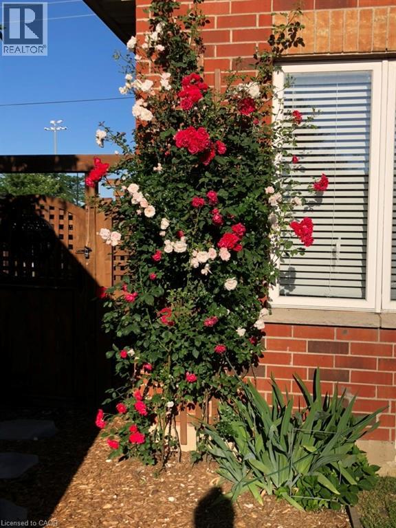 82 Vansickle Road, St. Catharines, Ontario  L2S 3Y6 - Photo 44 - 40813940