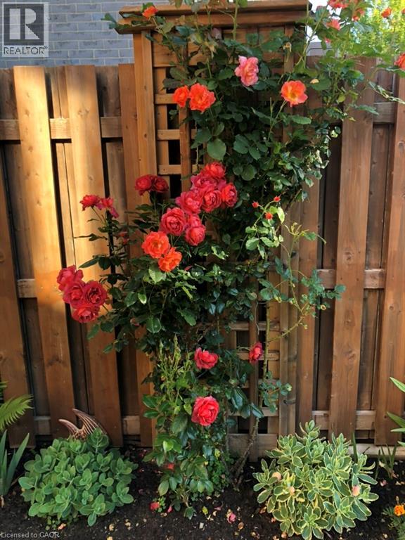 82 Vansickle Road, St. Catharines, Ontario  L2S 3Y6 - Photo 46 - 40813940