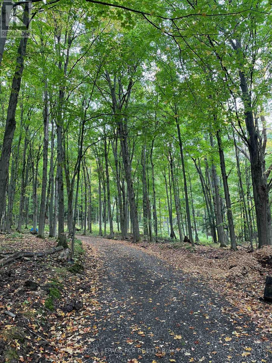 875122 5th Line E, Mono, Ontario L9W 6A9 - Photo 37 - X12450540