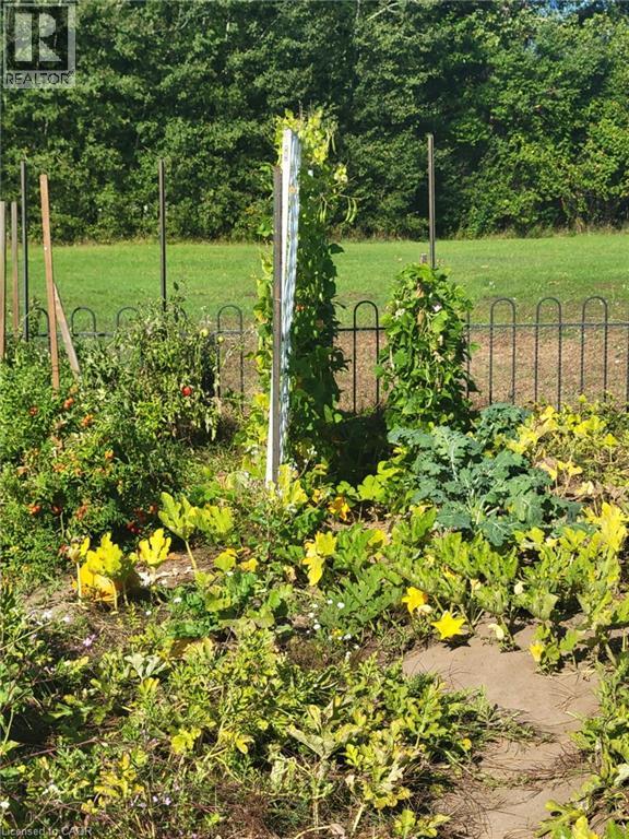 837 Fertilizer Road, Simcoe, Ontario  N3Y 4K6 - Photo 37 - 40806404