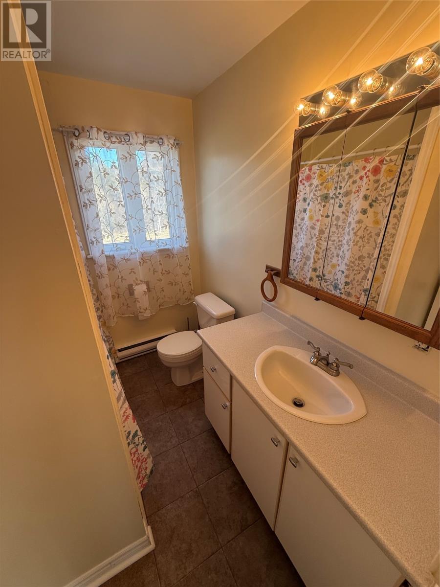 10 Bishops Lane, Whitbourne, Newfoundland & Labrador  A0B 3K0 - Photo 16 - 1295445