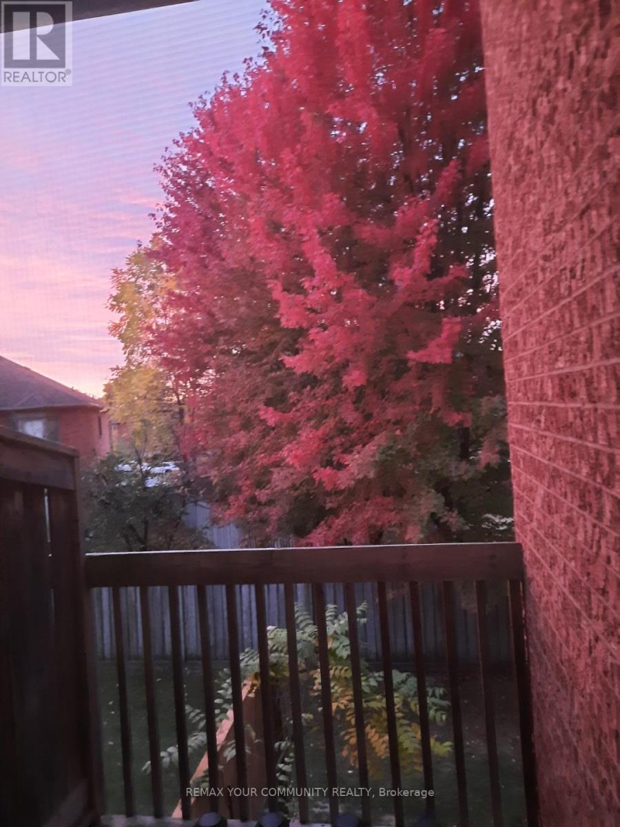 923 Caribou Valley Circle, Newmarket, Ontario  L3X 1W9 - Photo 44 - N12920016