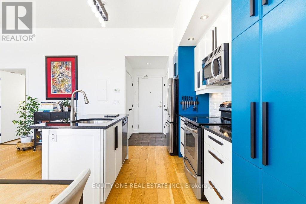 203 - 345 St Denis Street, Ottawa, Ontario  K1L 5J1 - Photo 8 - X12917050